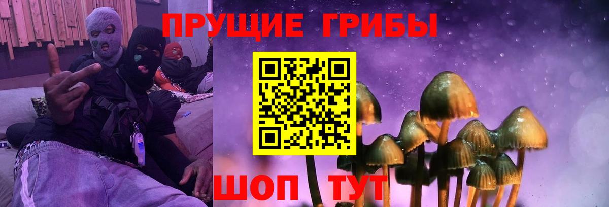 Псилоцибиновые грибы GOLDEN TEACHER Лабинск